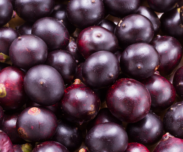 The Best Açaí Bowls in Denver: What Makes Superfruit Republic Different